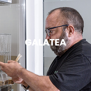 GALATEA