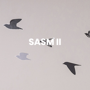 SASM II
